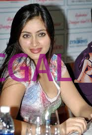 VIP Call Girls, Independent College Girl And Model Available 24/7 151 VIP Call Girls, Independent College Girl And Model Available 24/7-151